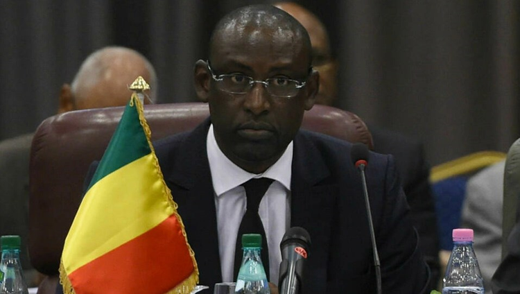 احتجاجاً على تصريحات ماكرون.. مالي تستدعي سفير فرنسا في باماكو
