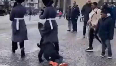 بالفيديو: الحرس الملكي البريطاني يمشي فوق طفل وقع على الأرض