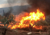 حريق في الوادي بين السكسكية والصرفند تعمل فرق الدفاع المدني على اهماده