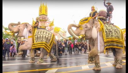 بالفيديو: “بوفيه مفتوح” للأفيال في احتفالات تايلاندية