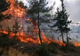 حريق كبير بالقرب من حرج السفيرة للصنوبر الأكبر بلبنان في الضنية