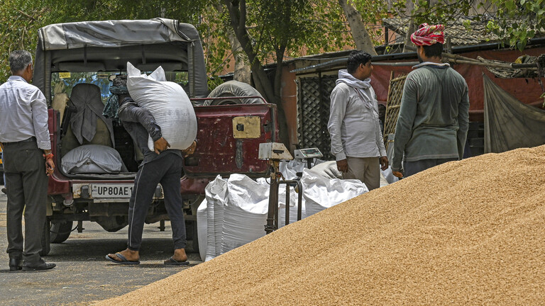 توقف شحنات بمئات آلاف الأطنان من القمح في أحد موانئ الهند