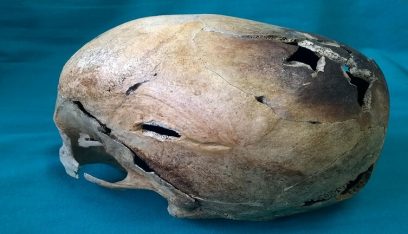 العثور على جمجمة عمرها 8 آلاف عام في نهر بمينيسوتا!