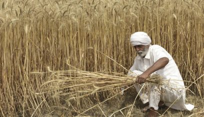في قفزة قياسية.. الهند تُصدّر 1.4 مليون طن من القمح في نيسان
