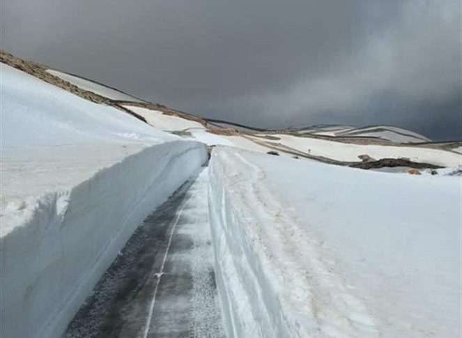 لبنان لا يزال تحت تأثير العاصفة فرح…الثلوج تلامس ال 600 متر الأربعاء