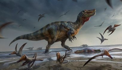 اكتشاف بقايا أكبر “وحش” ديناصور آكل للحوم في أوروبا…عاش قبل 125 مليون سنة