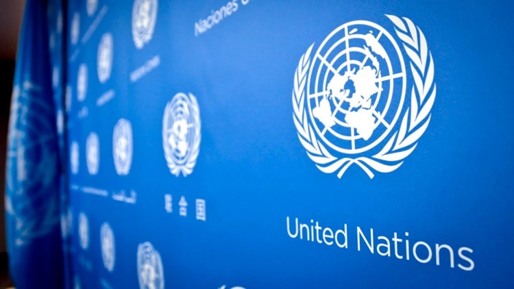 الأمم المتحدة: الوفود الأممية والتركية والأوكرانية اتفقت على تحرك 14 سفينة حبوب اليوم