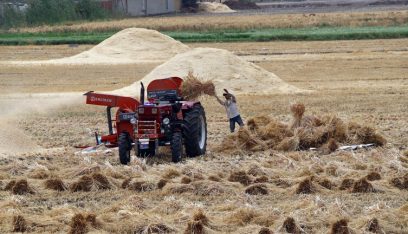 مصر تعلن جحم مخزونها الاستراتيجي من القمح