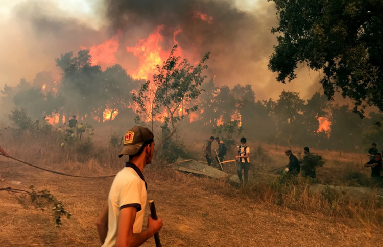 الحرائق تطاول عدداً من المناطق في الجزائر