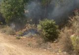 بالفيديو: عمليات اهماد النيران في احراج وادي بسري ومزرعة الضهر مستمرة