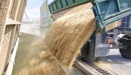 روسيا تكمل مبادرتها لشحن 200 ألف طن من الحبوب إلى دول أفريقية
