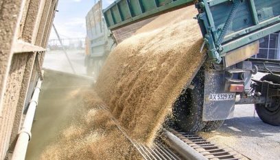 بوتين يعلن حجم صادرات روسيا من الحبوب هذا العام