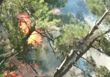 تجدد الحريق في وادي حلسبان في عكار العتيقة