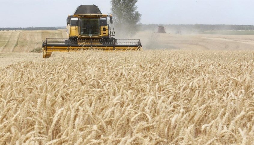 تراجع حصاد أوكرانيا من الحبوب بنحو 40 بالمئة في 2022…بالتفاصيل!