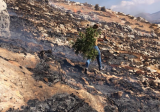 اهماد حريق في خراج  بلدة كوكبا قضاء راشيا
