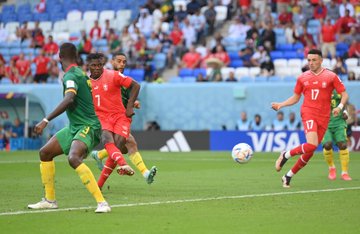 فوز سويسرا على الكاميرون 1 – 0