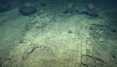 تحت عمق 1000 متر.. فيديو لـ”مفاجأة” في قاع المحيط