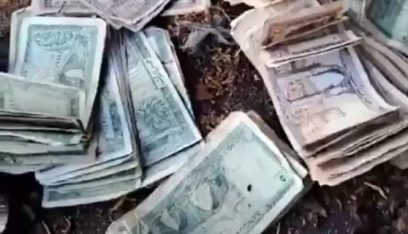 بالفيديو: العثور على نقود لبنانية قديمة موضبة في جذع زيتون!