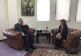 بو حبيب بحث مع سفيرة اليونان التطورات في المنطقة