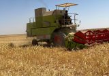 روسيا تمنح لبنان إمدادات مجانية من القمح والمنتجات النفطية..