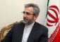 وزير الخارجية الإيراني بالوکالة علي باقري: کل حركات المقاومة تتخذ قراراتها وتتصرف بشكل مستقل في وحدتها الجغرافية