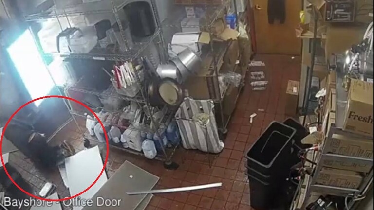 بالفيديو: حاولا سرقة مقر عملهما السابق فسقطا من السقف!