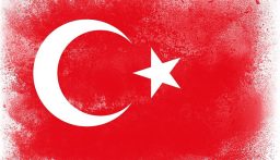 تركيا تدعو مجلس الأمن الدولي إلى أداء دوره تجاه إسرائيل 