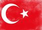 تركيا تدعو مجلس الأمن الدولي إلى أداء دوره تجاه إسرائيل 