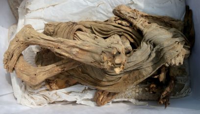 بالفيديو: اكتشاف مومياء عمرها نحو 1200 عام تحتفظ بشعرها وأسنانها!