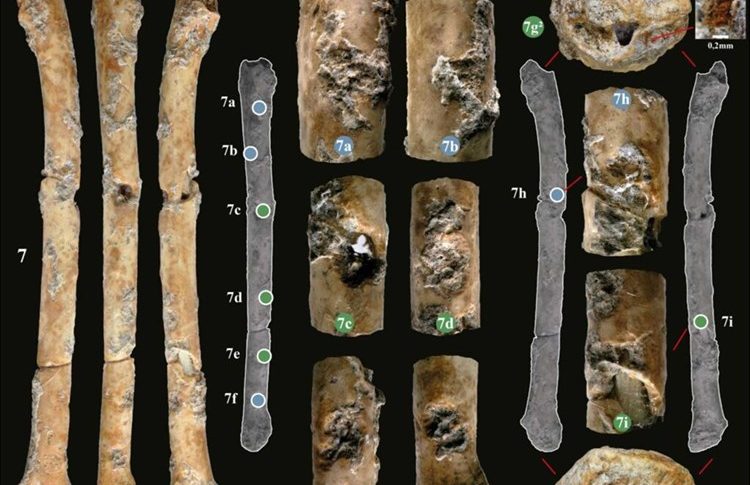 اكتشاف آلات موسيقية عمرها 12 ألف سنة!