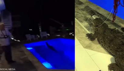 بالفيديو: في فلوريدا.. مفاجأة “مرعبة” في حمام سباحة!