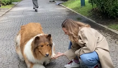 بالفيديو: ياباني ينفق آلاف الدولارات ليتحول إلى.. كلب!