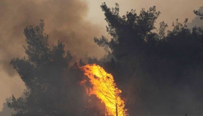 رئيس الوزراء اليوناني يتوقّع بأن تأتي حرائق الغابات على أكثر من 150 ألف هكتار