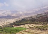 إطلاق مشروع الصرف الصحي في البازورية عن روح الشهيد حدرج