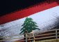 جريحان من الطلاب اللبنانيين إثر إستهداف مبنى بالقرب من المجمع السكني للطلاب اللبنانيين في طهران