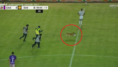 بالفيديو: كلب يقتحم الملعب أثناء مباراة كرة قدم رسمية!
