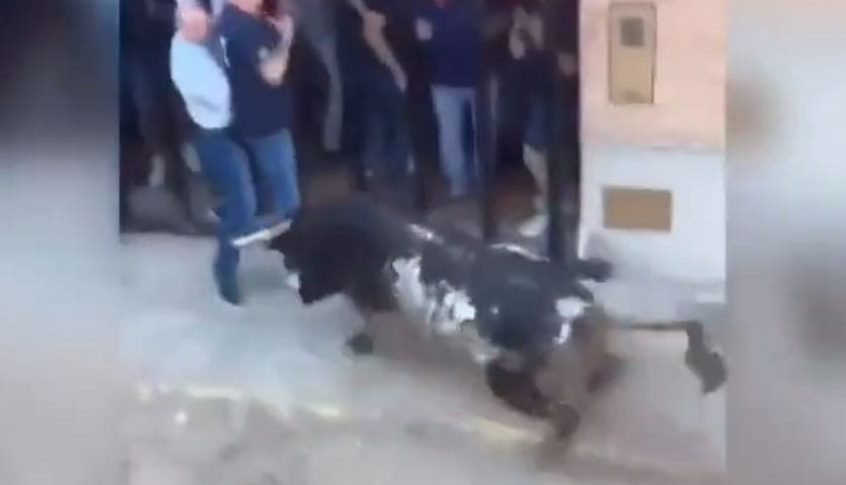 بالفيديو: ثور هائج يقتل رجلاً في إسبانيا!