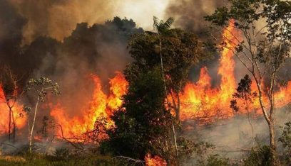 حريق كبير في واد بين بلدتي عنقون وكفرحتى وفرق الاطفاء والدفاع المدني يحاولون السيطرة على النيران