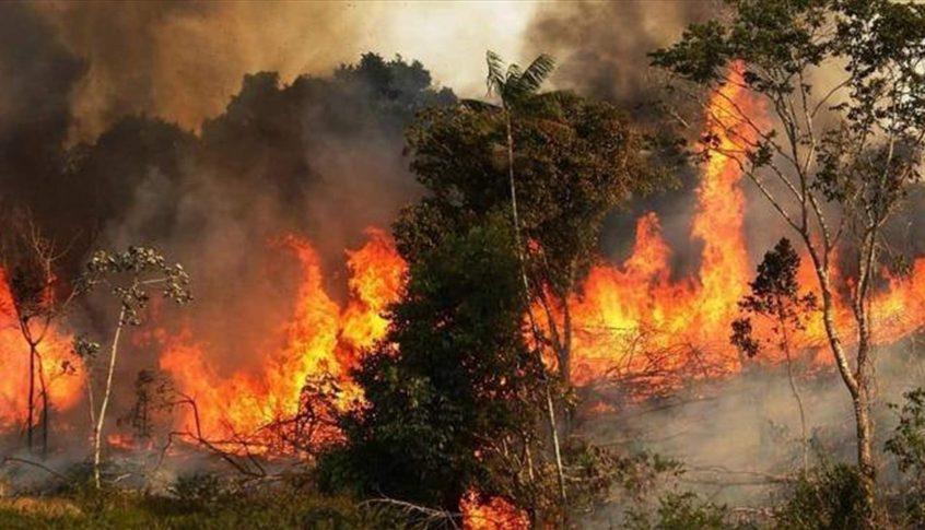 حريق في المناطق الحرجية في قضاء النبطية
