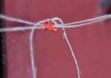 مصلحة الصحة جنوباً: انذارات لـ 8 مطاعم واقفال 5 مراكز تجميل