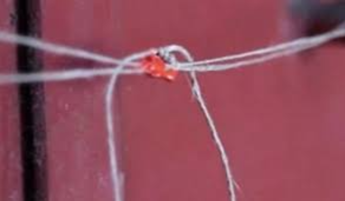 مصلحة الصحة جنوباً: انذارات لـ 8 مطاعم واقفال 5 مراكز تجميل