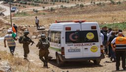 الخارجية الفلسطينية تدين جريمة إعدام طفلين في جنين