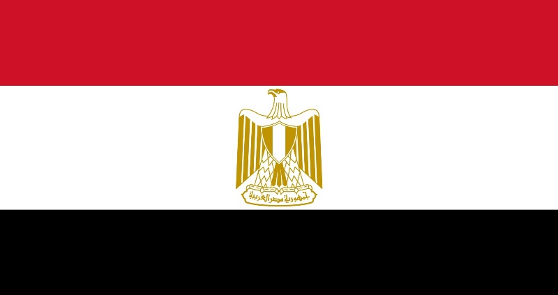 قرار من الحكومة المصرية بتسوية اوضاع الاجانب المقيمين والمخالفين