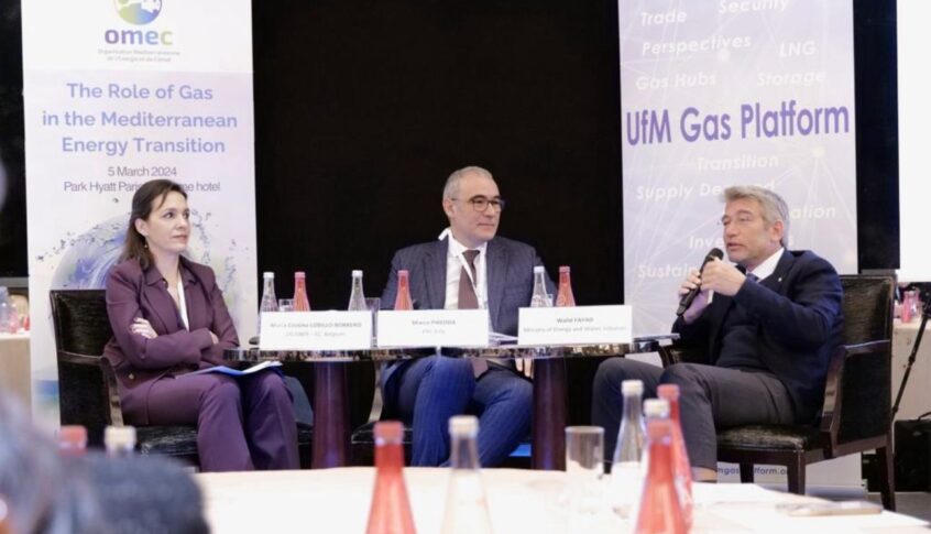 فياض من باريس: وقف الحرب يزيد عوامل تحقيق الأمن الطاقوي في المنطقة