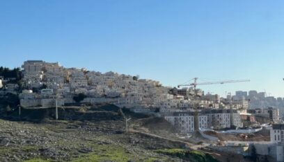 مكالمات لرجال الأعمال في صفد: اخرجوا منها قبل أن تصبحوا فريسة للفئران بين الدمار