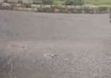 بالفيديو: أمطار غزيرة وسيول في منطقة درعون حريصا