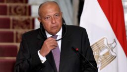 وزير الخارجية المصري: المسلك الإسرائيلي الرافض للسلام سيجر المنطقة بأكملها لتهديدات غير مسبوقة
