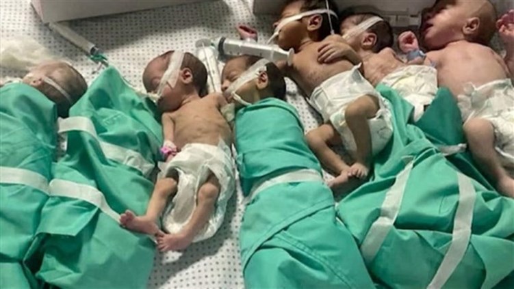 الصحة العالمية: وفاة عدد متزايد من الأطفال الحديثي الولادة في غزة