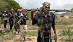 40 قتيلاً بهجوم لمسلحين على قرية بولاية بلاتو وسط نيجيريا