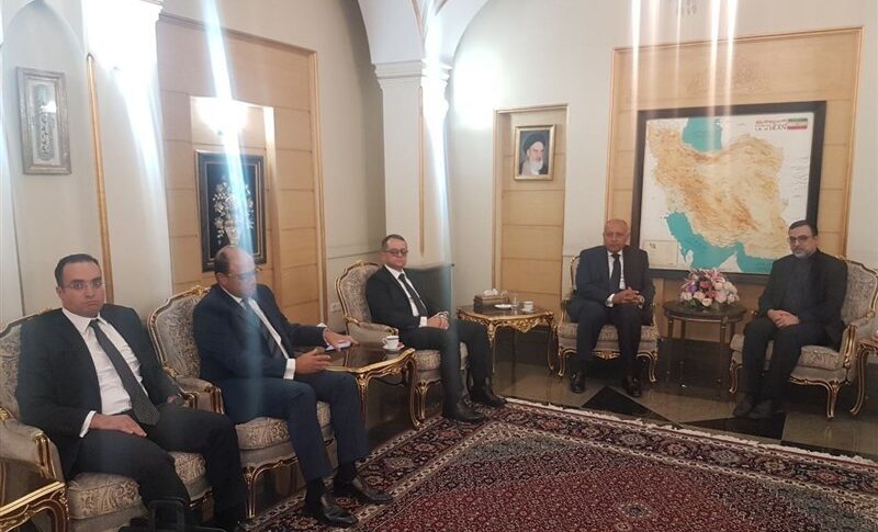 وزير الخارجية المصري يصل إلى طهران